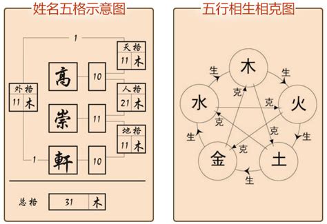 姓名五行分析|姓名解析 